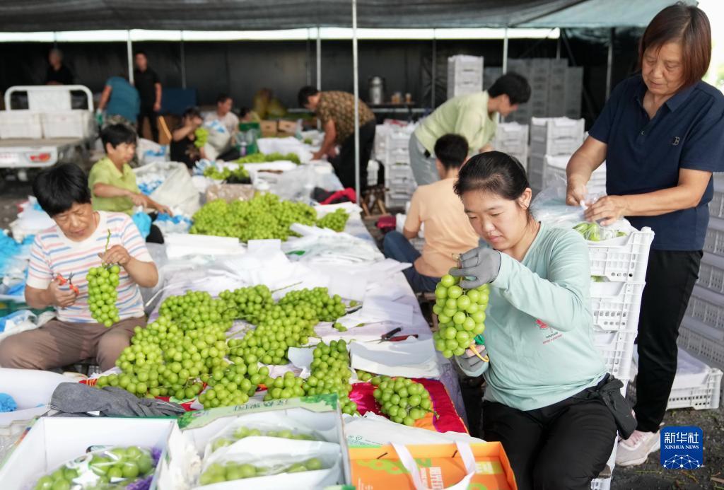 宝运来最新官网网址
